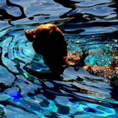 Ольга Терещенко, 12.12, Киев