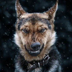 Аббас Ушуров, 05.11.1992, Алматы