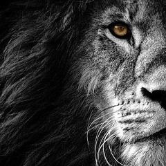 Айдос Нарымбаев, 09.10, Уржар