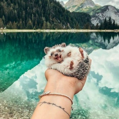 Meerim Shamirbekova, 25.01.1990, Бишкек