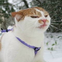 Роман Волков, 03.01.1990, Караганда