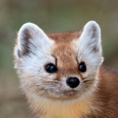 Наталья Горчакова, 21.01.1979, Москва