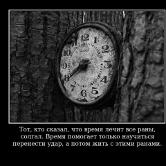 Дима Кулиев, Волгоград