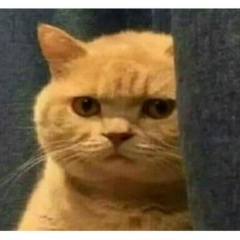 Темирлан Талевжанов, 05.06.2002, Алматы