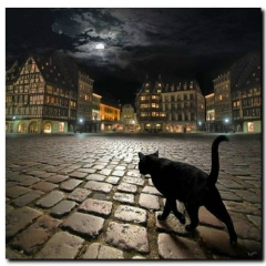 Камила Молькова, 26.01, Санкт-Петербург