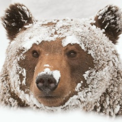 Нидаль Аль-Раббат, 24.07.1990, Киев