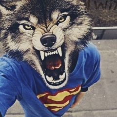 Кирилл Смоляков, 24.06, Канск