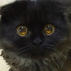 Павел Дрёмин, 24.06.1993, Екатеринбург