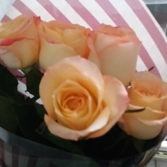 Замира Абдибекова, 23.02.1988, Костанай