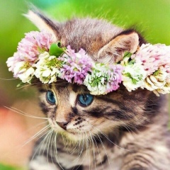 Екатерина Пырина, 07.04.1988, Москва