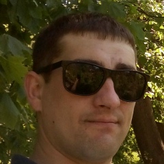 Алексей Швед, Киев