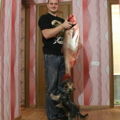 Коля Метлушко, 10.10, Севастополь