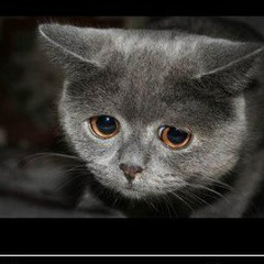 Полина Пентина, 22.06.1998, Ижевск