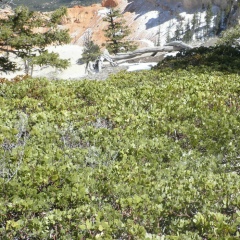 Николай Маньков, 18.10.1984, Киев