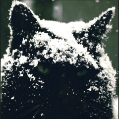 Алексеюшка Дорофеев, 13.12.1979, Санкт-Петербург