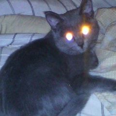 Эдик Акмурзин, 29.12.1990, Сургут