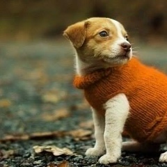 Екатерина Прошкина, 14.06, Москва