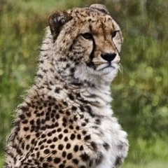 Никита Ильин, 18.06.1997, Чульман