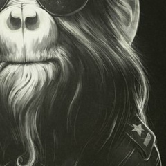 Дамир Шафиков, 07.02.1979, Березники