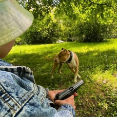 Denis Neliubov, Мытищи