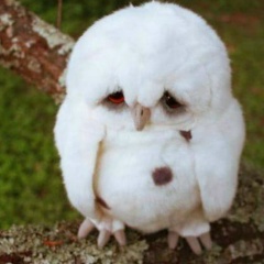 Олег Иванов, 26.05.1984, Санкт-Петербург