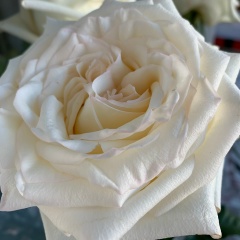 Гузель Хисматова, 10.03.1986, Набережные Челны