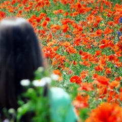 Мата Хари, 14.01