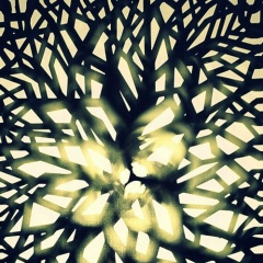 Александр Брагин, 07.05.1979, Сыктывкар