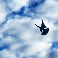 Малика Хасанова