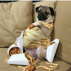 Елена Шевченко, 18.11.1987, Минск