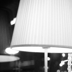 Теймур Керимов, Санкт-Петербург