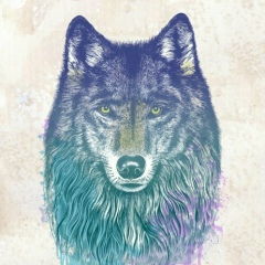 Женя Шрейбер, 12.03, Усть-Каменогорск