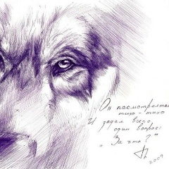 Сергей Сузи, 14.02, Санкт-Петербург