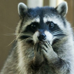 Авраам Эпштейн