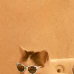 Тамерлан Махдиев, 05.10.1989, Махачкала