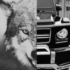 Асхат Нурекин, 10.06