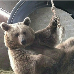 Владимир Смирнов, Ярославль