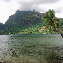 Raven Breeze, Lahore