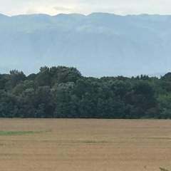 Майя Молчанова, Москва