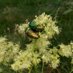 Наталия Боцман, 02.07, Киев