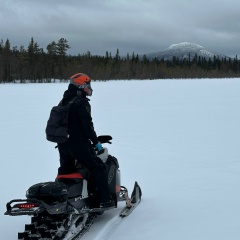 Иосиф Виссарионович, Санкт-Петербург