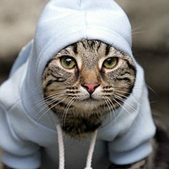 Жека Есть, 26.03.1987, Ростов-на-Дону