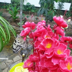 Віка Гудзь, 12.09, Володарка