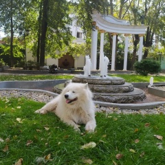 Владимир Гурин, Москва