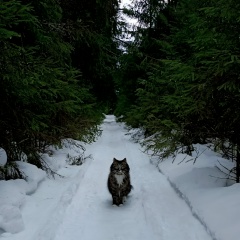 Владимир Корницкий, 29.07.1998, Москва