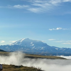 Елена Бонар, 01.11, Москва