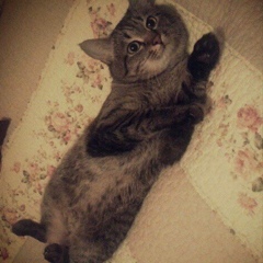 Anara Fanara, 11.03.1989, Алматы