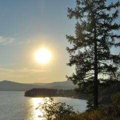 Иван Бушуев, Кострома