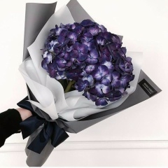 Ирина Морозова, Санкт-Петербург