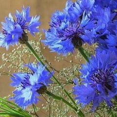 Ольга Чимберева, 26.06, Москва